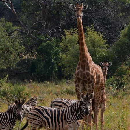 Intaba Thulile Hotel Maanhaarrand Buitenkant foto
