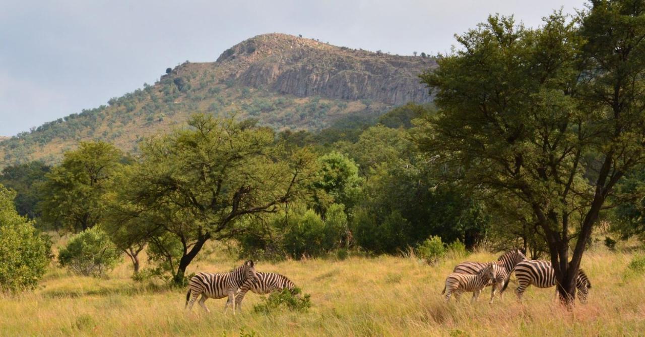 Intaba Thulile Hotel Maanhaarrand Buitenkant foto